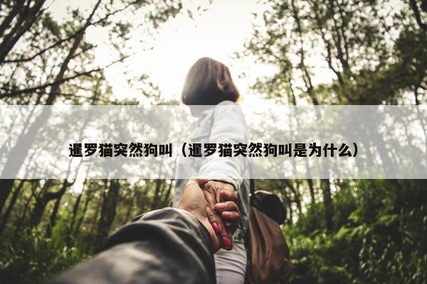 暹罗猫突然狗叫（暹罗猫突然狗叫是为什么）
