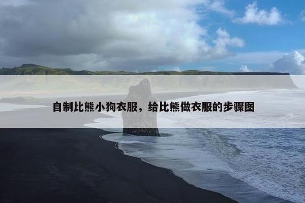 自制比熊小狗衣服，给比熊做衣服的步骤图