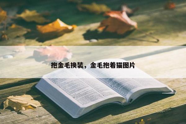 抱金毛换装，金毛抱着猫图片