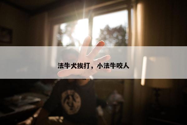 法牛犬挨打，小法牛咬人