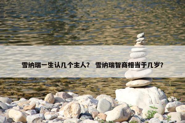 雪纳瑞一生认几个主人？ 雪纳瑞智商相当于几岁？