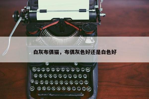 白灰布偶猫，布偶灰色好还是白色好