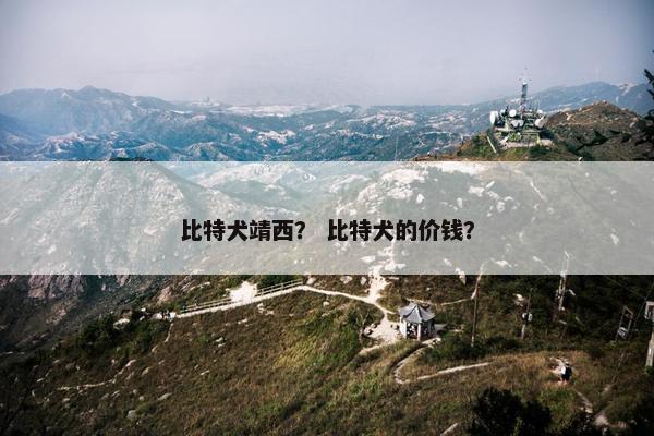 比特犬靖西？ 比特犬的价钱？