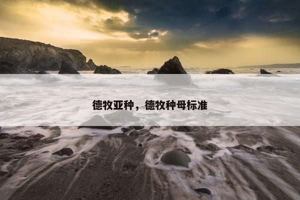 德牧亚种，德牧种母标准