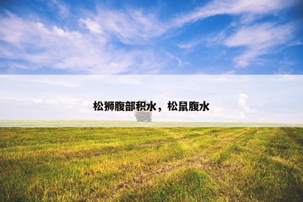 松狮腹部积水，松鼠腹水