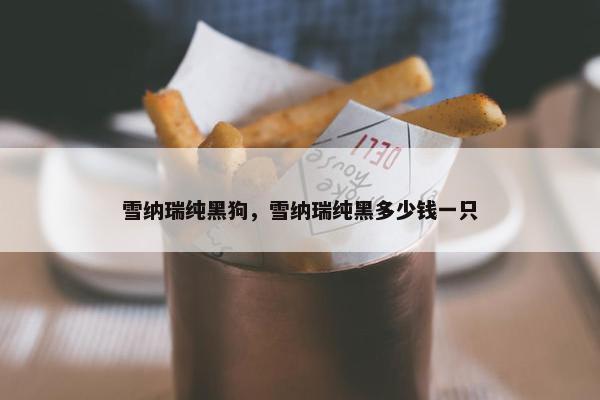 雪纳瑞纯黑狗，雪纳瑞纯黑多少钱一只