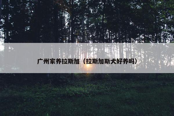 广州家养拉斯加（拉斯加斯犬好养吗）
