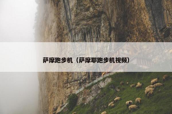 萨摩跑步机（萨摩耶跑步机视频）