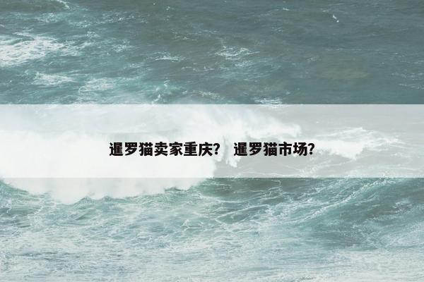暹罗猫卖家重庆？ 暹罗猫市场？