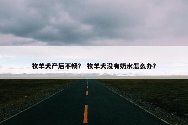 牧羊犬产后不畅？ 牧羊犬没有奶水怎么办？