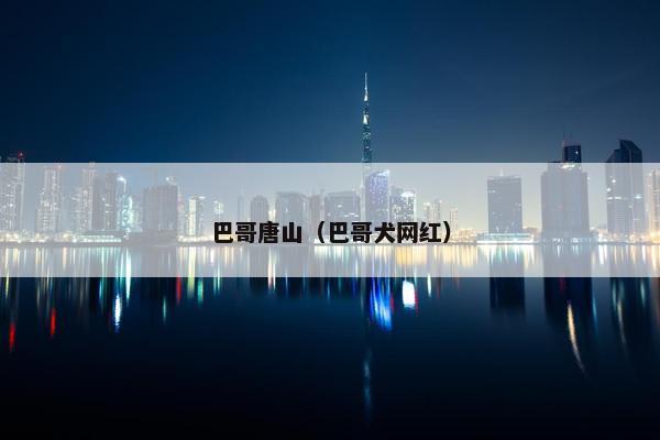 巴哥唐山（巴哥犬网红）