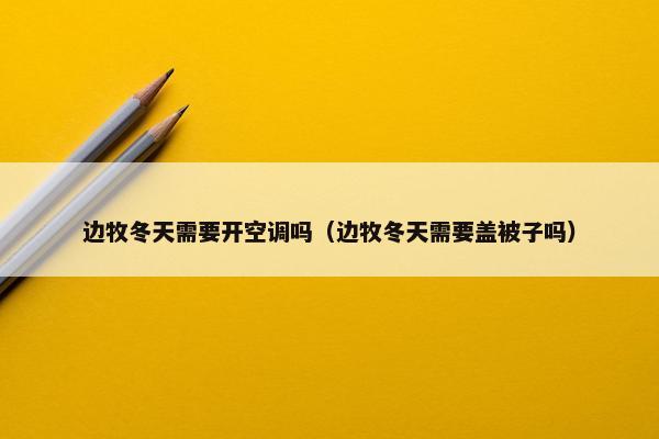 边牧冬天需要开空调吗（边牧冬天需要盖被子吗）