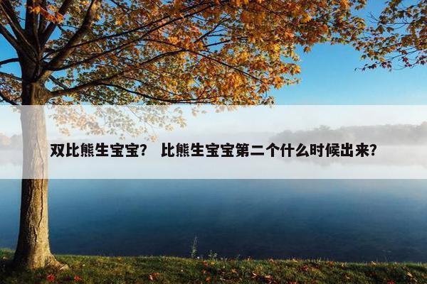 双比熊生宝宝？ 比熊生宝宝第二个什么时候出来？