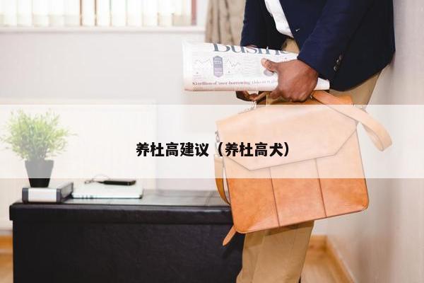 养杜高建议（养杜高犬）