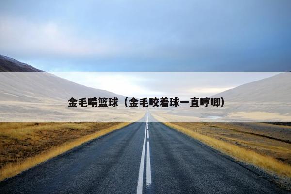 金毛啃篮球（金毛咬着球一直哼唧）