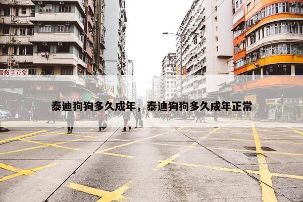 泰迪狗狗多久成年，泰迪狗狗多久成年正常