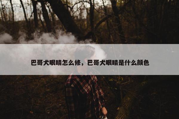巴哥犬眼睛怎么修，巴哥犬眼睛是什么颜色