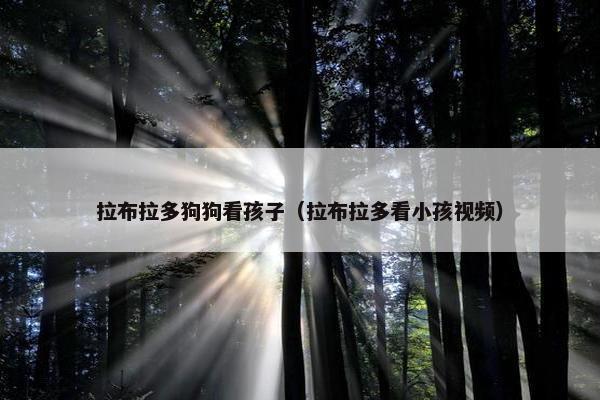 拉布拉多狗狗看孩子（拉布拉多看小孩视频）