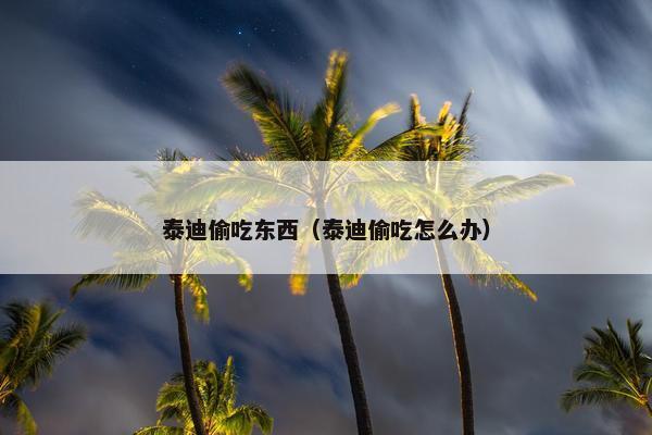 泰迪偷吃东西（泰迪偷吃怎么办）