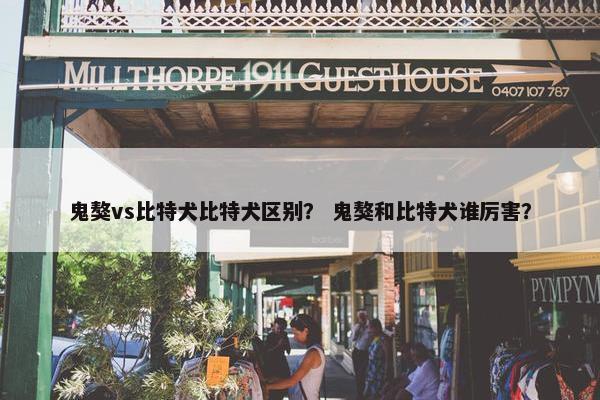 鬼獒vs比特犬比特犬区别？ 鬼獒和比特犬谁厉害？