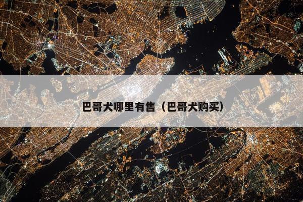 巴哥犬哪里有售（巴哥犬购买）