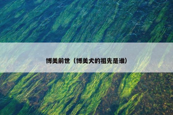 博美前世（博美犬的祖先是谁）
