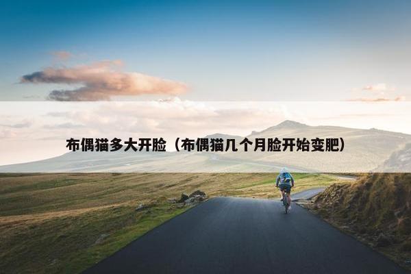 布偶猫多大开脸（布偶猫几个月脸开始变肥）