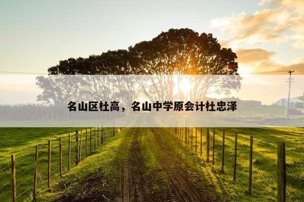 名山区杜高，名山中学原会计杜忠泽
