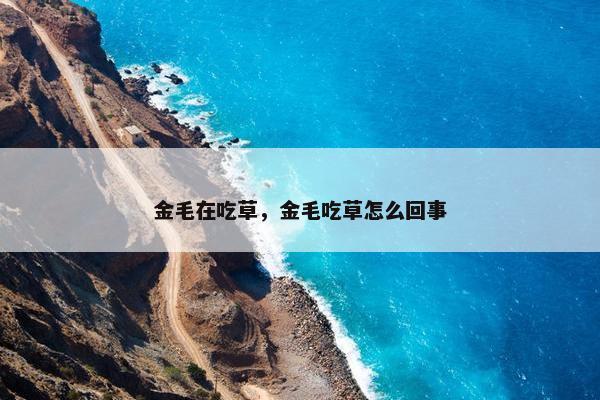 金毛在吃草，金毛吃草怎么回事