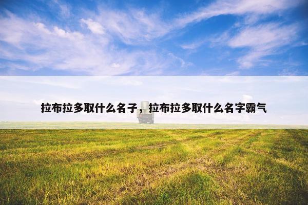 拉布拉多取什么名子，拉布拉多取什么名字霸气