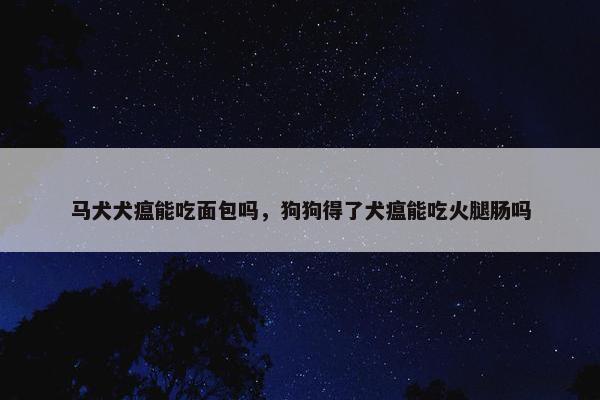 马犬犬瘟能吃面包吗，狗狗得了犬瘟能吃火腿肠吗