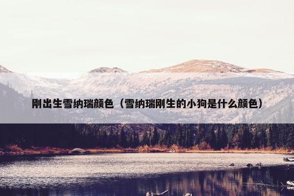 刚出生雪纳瑞颜色（雪纳瑞刚生的小狗是什么颜色）