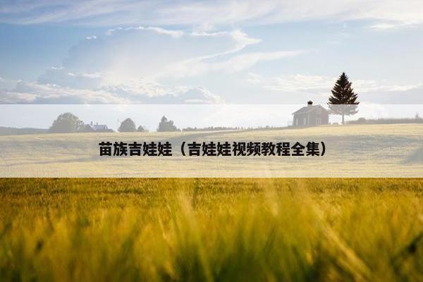 苗族吉娃娃（吉娃娃视频教程全集）