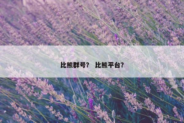 比熊群号？ 比熊平台？