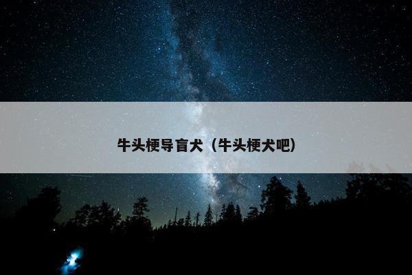 牛头梗导盲犬（牛头梗犬吧）