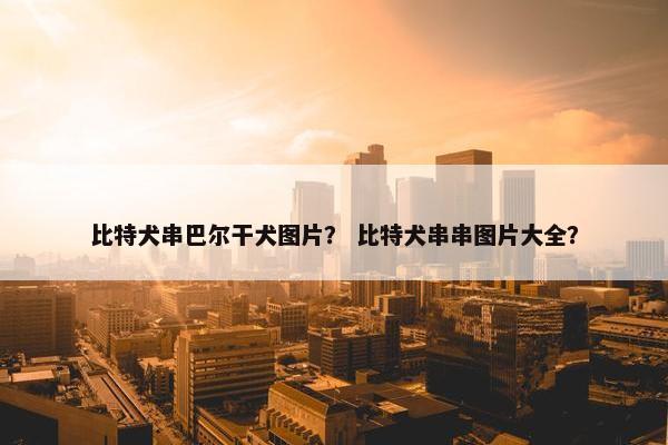 比特犬串巴尔干犬图片？ 比特犬串串图片大全？