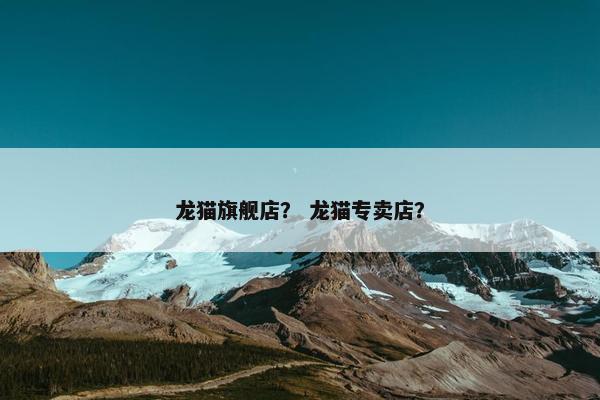 龙猫旗舰店？ 龙猫专卖店？