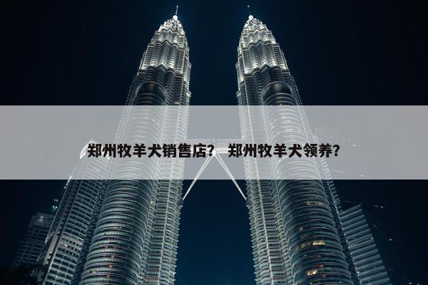 郑州牧羊犬销售店？ 郑州牧羊犬领养？