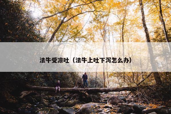 法牛受凉吐（法牛上吐下泻怎么办）