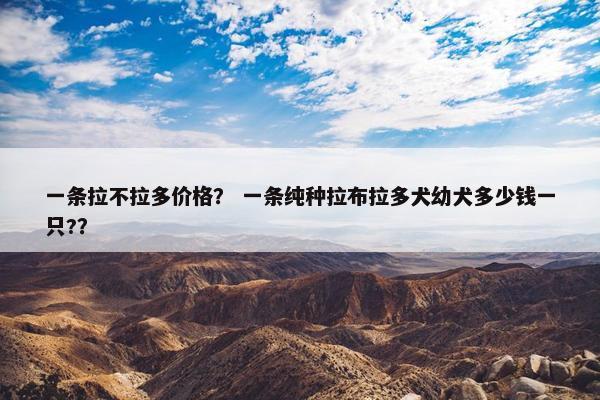 一条拉不拉多价格？ 一条纯种拉布拉多犬幼犬多少钱一只?？