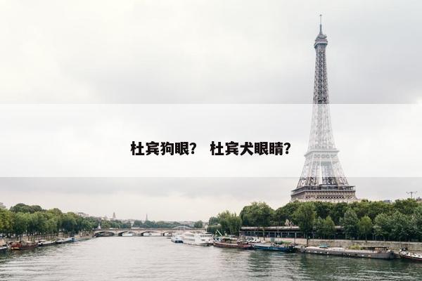杜宾狗眼？ 杜宾犬眼睛？