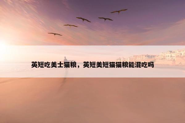 英短吃美士猫粮，英短美短猫猫粮能混吃吗