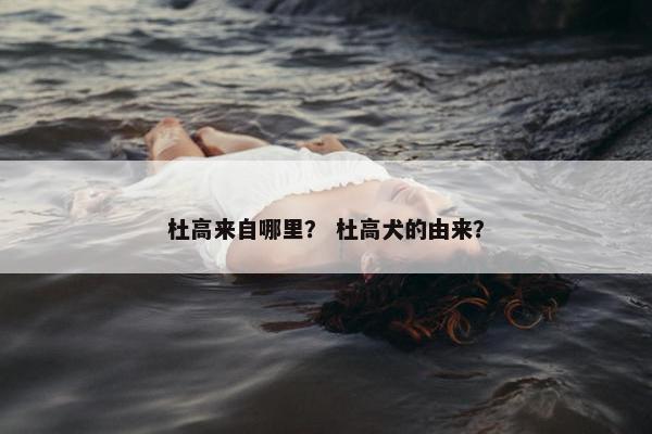 杜高来自哪里？ 杜高犬的由来？