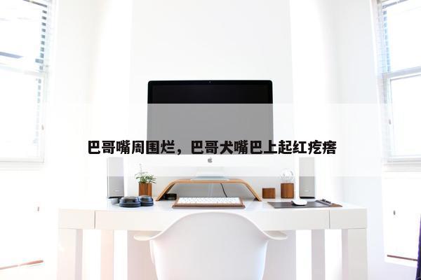 巴哥嘴周围烂，巴哥犬嘴巴上起红疙瘩
