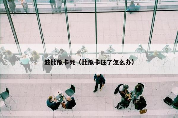 波比熊卡死（比熊卡住了怎么办）