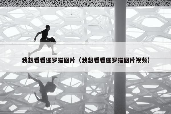 我想看看暹罗猫图片（我想看看暹罗猫图片视频）