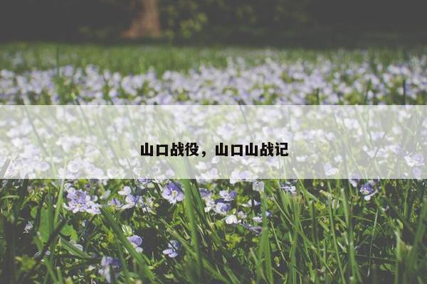 山口战役，山口山战记