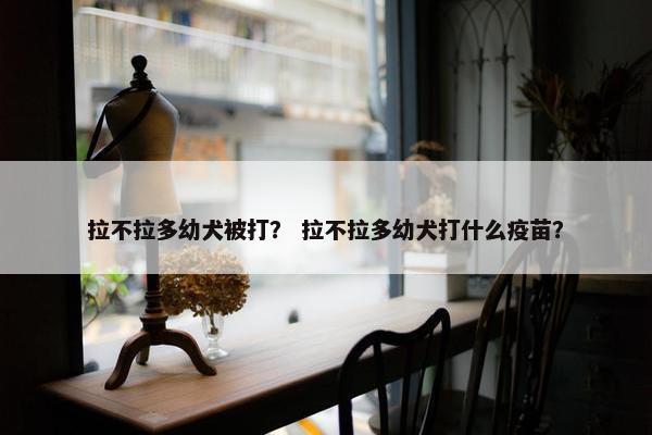 拉不拉多幼犬被打？ 拉不拉多幼犬打什么疫苗？