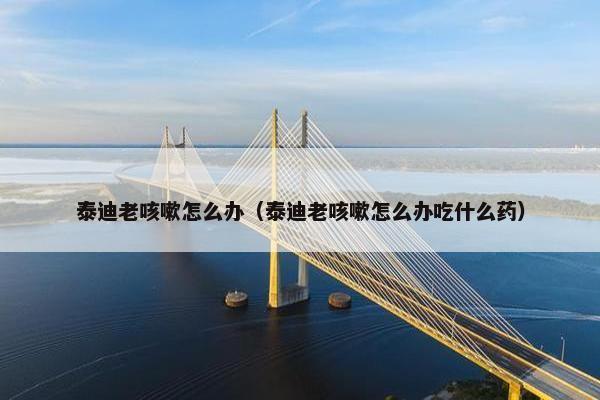 泰迪老咳嗽怎么办（泰迪老咳嗽怎么办吃什么药）