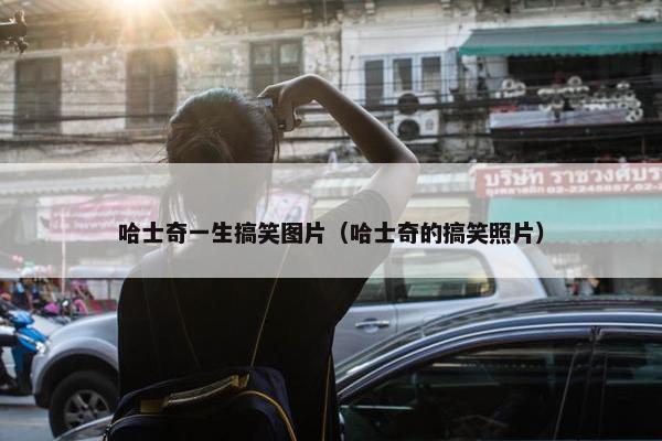 哈士奇一生搞笑图片（哈士奇的搞笑照片）